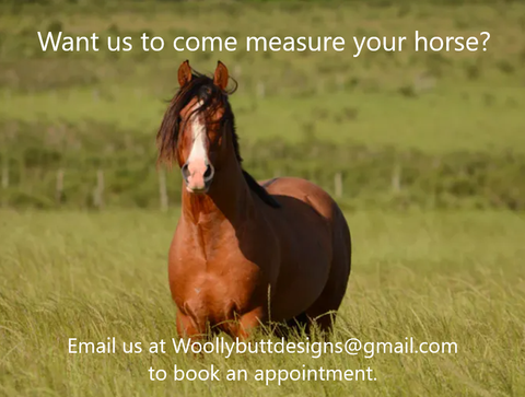 Want us to come measure your horse?